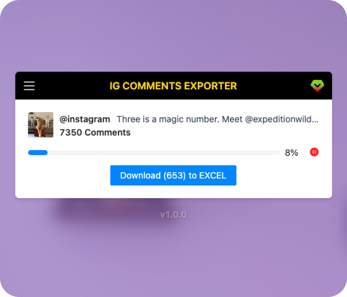 IG Comments Exporter Screenshot
